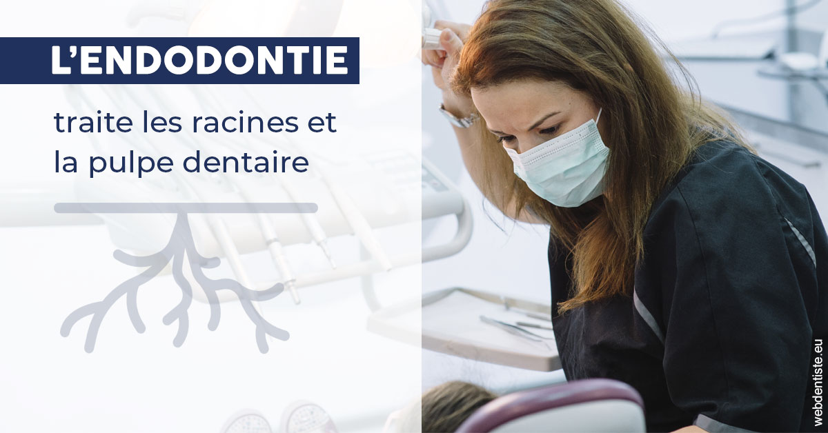 https://selarl-orthodontie-naborienne.chirurgiens-dentistes.fr/L'endodontie 1