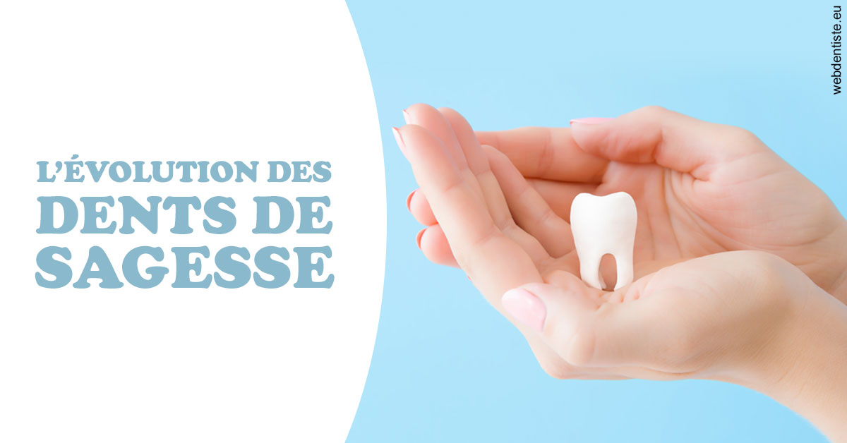 https://selarl-orthodontie-naborienne.chirurgiens-dentistes.fr/Evolution dents de sagesse 1
