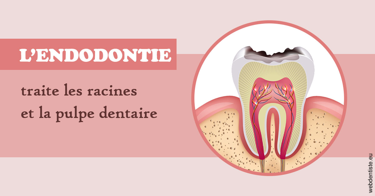 https://selarl-orthodontie-naborienne.chirurgiens-dentistes.fr/L'endodontie 2