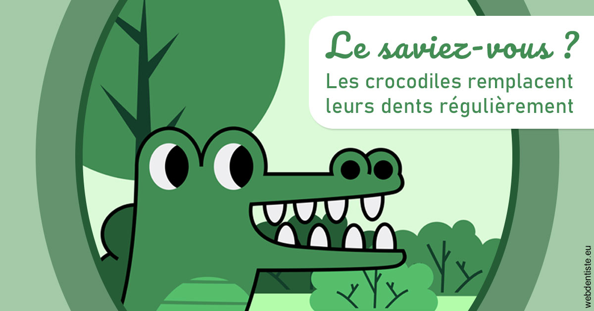 https://selarl-orthodontie-naborienne.chirurgiens-dentistes.fr/Crocodiles 2