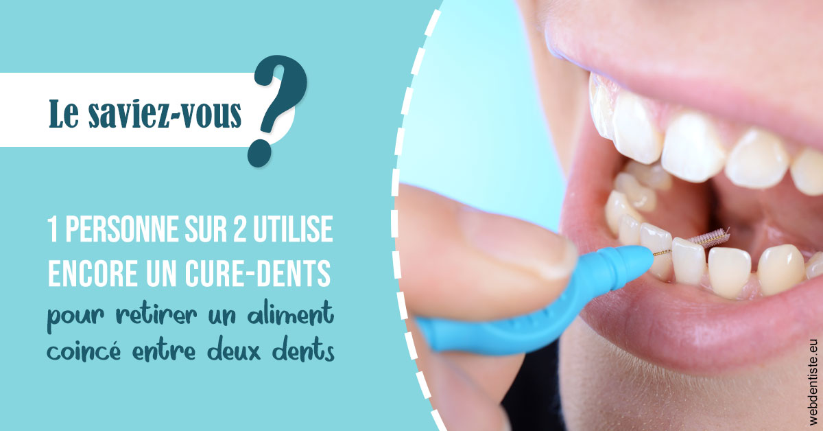 https://selarl-orthodontie-naborienne.chirurgiens-dentistes.fr/Cure-dents 1