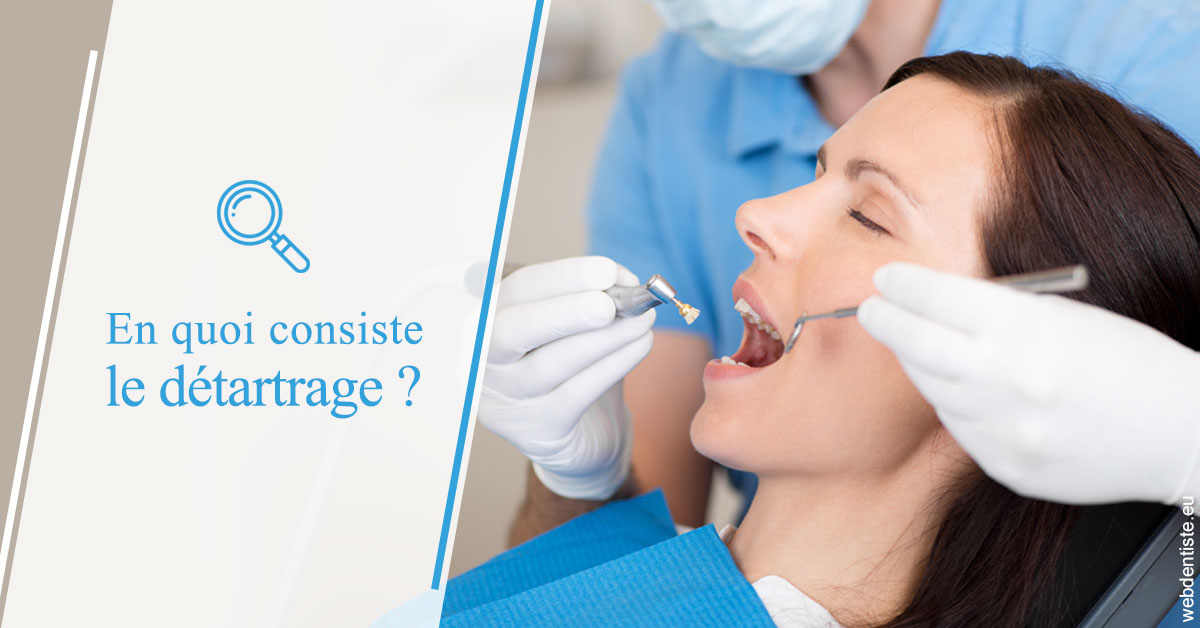 https://selarl-orthodontie-naborienne.chirurgiens-dentistes.fr/En quoi consiste le détartrage