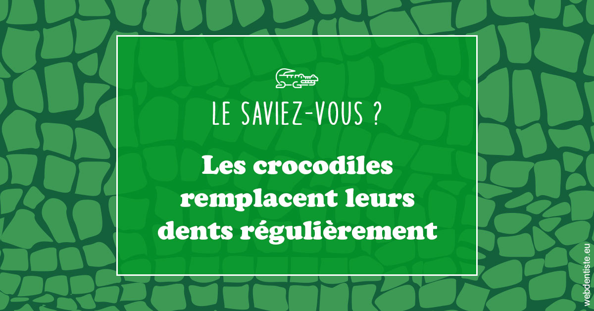 https://selarl-orthodontie-naborienne.chirurgiens-dentistes.fr/Crocodiles 1